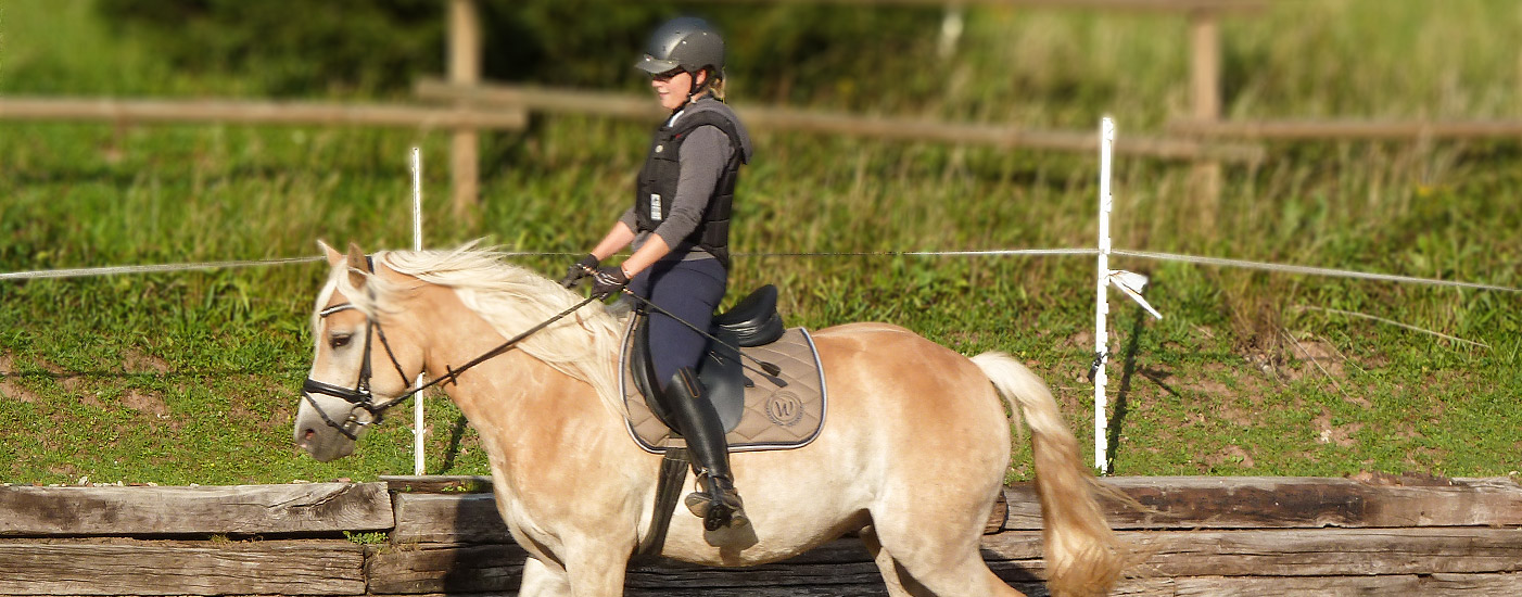 Reiterin auf Pferd mit Sattel und Reitsportzubehör, ausgestattet von Barbara Fuge